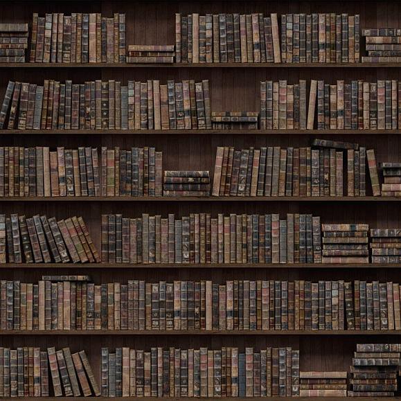 Панно Hygge Wall H11371 Library