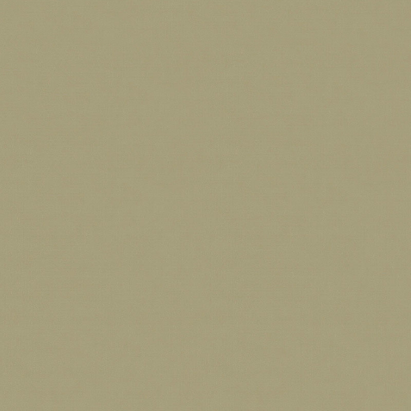 Z54513