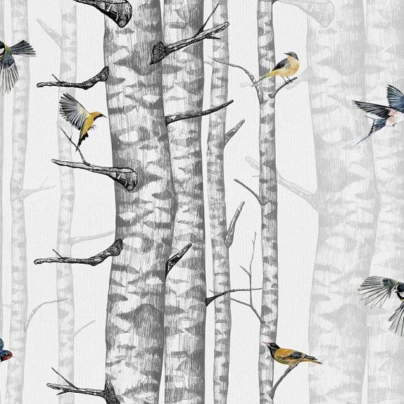 Обои Coordonne 9500040V Birch Trees Grey