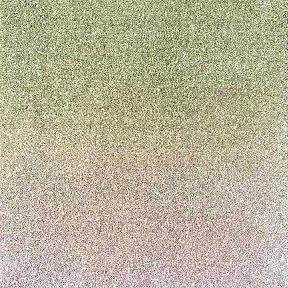 Ковер B.I.C. Gradient Fly Forest Green (170 x 240) коллекции handtuft
