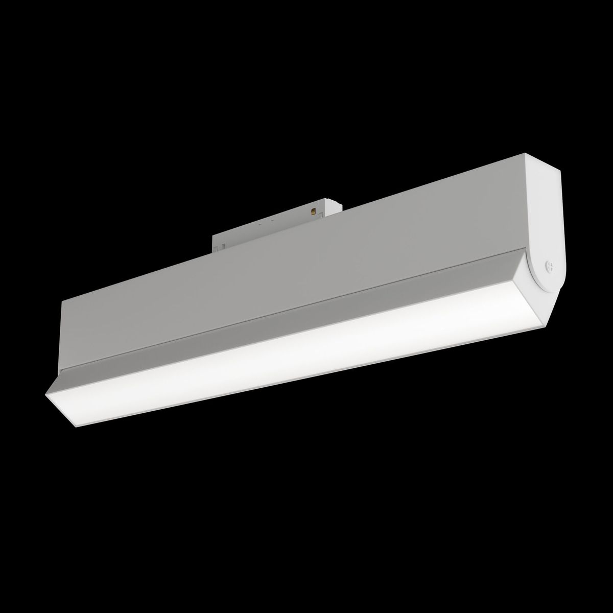 Трековый светильник Maytoni Technical BASIS TR013-2-20W3K-W