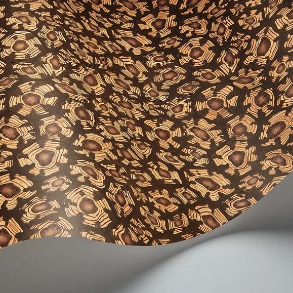 Обои Cole & Son 119/4019 Savanna Shell