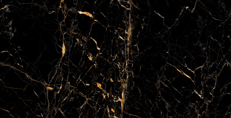 Black Gold Polished CV20199