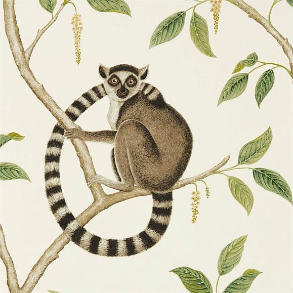 Обои Sanderson 216664 Ringtailed Lemur Cream/Olive