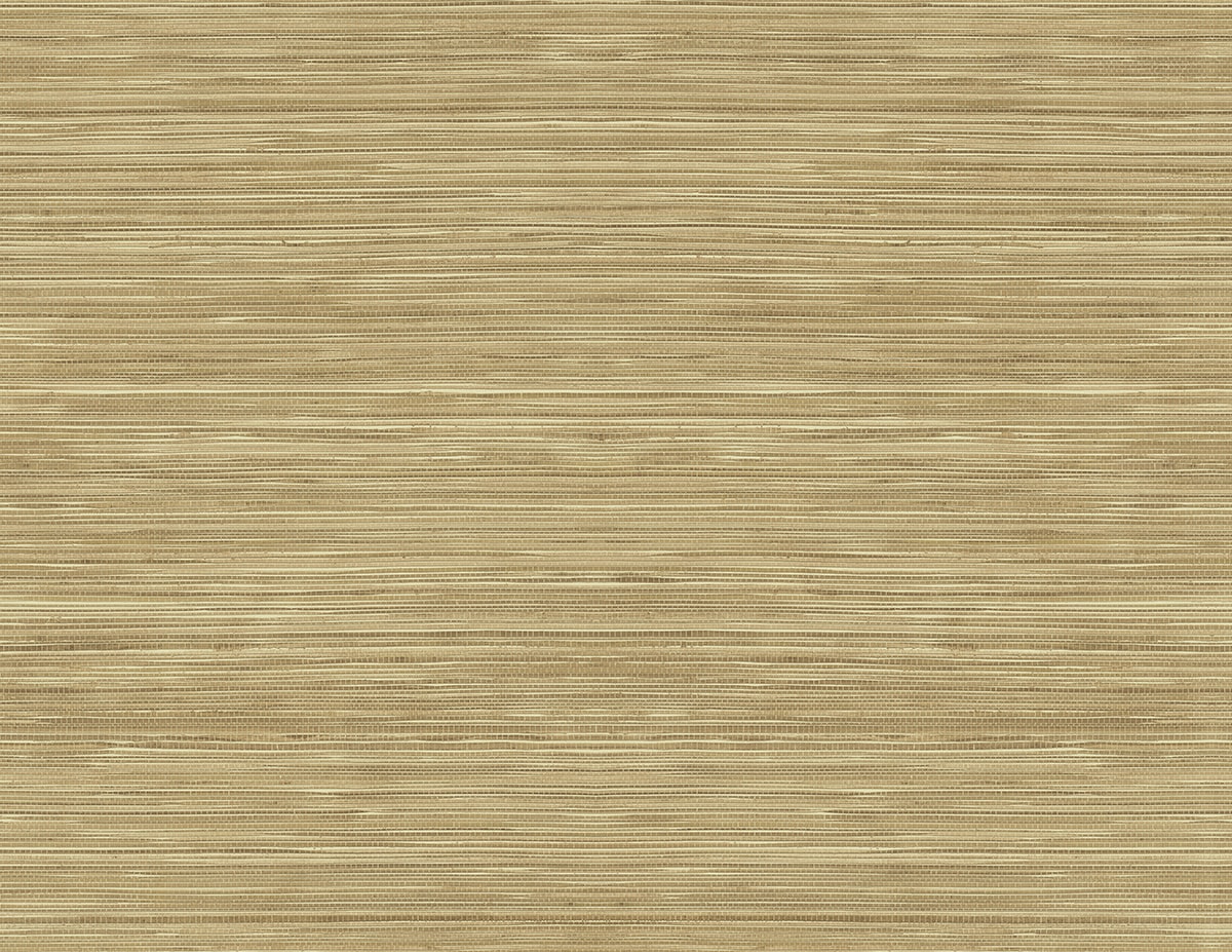 RC10325