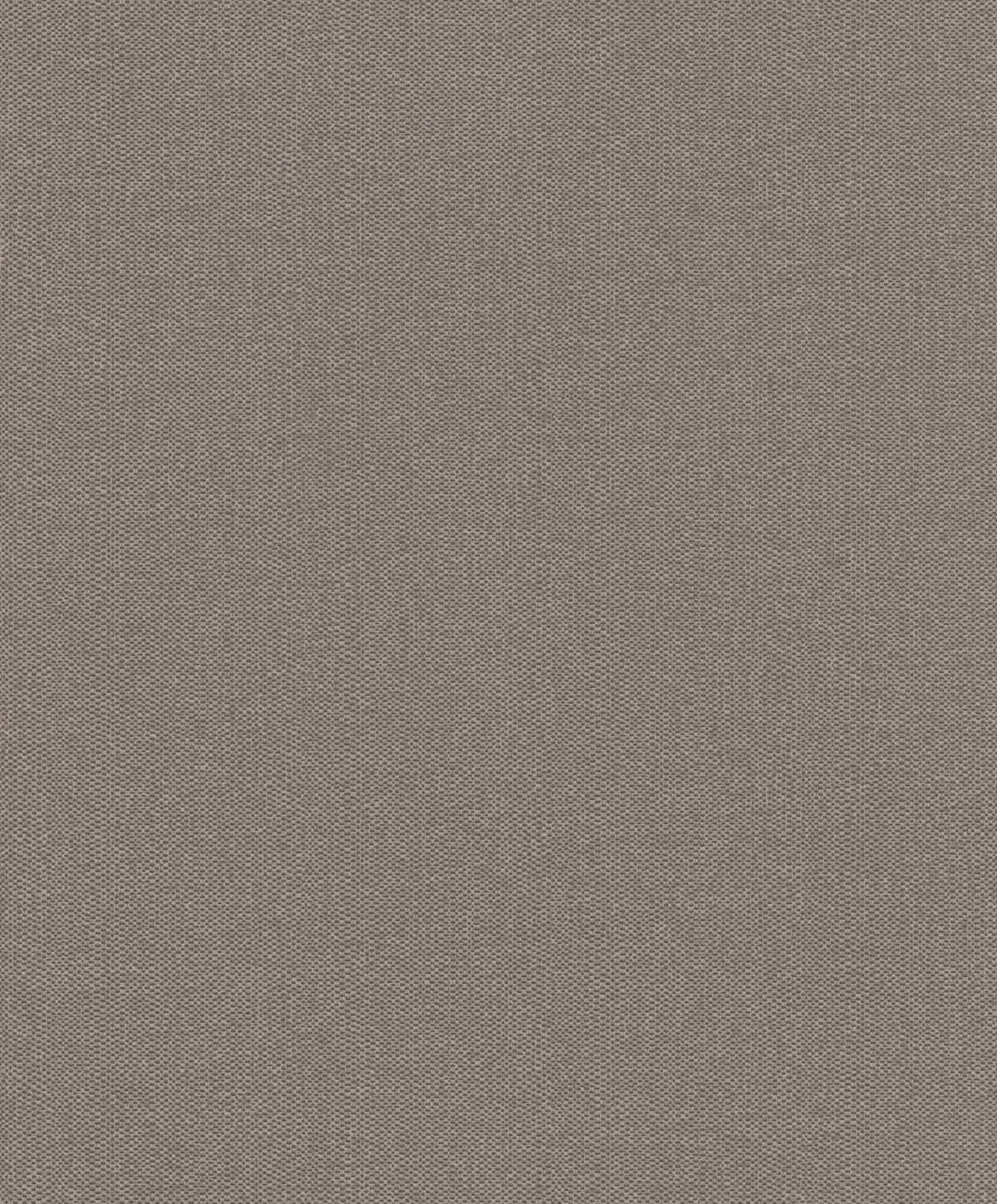 229294