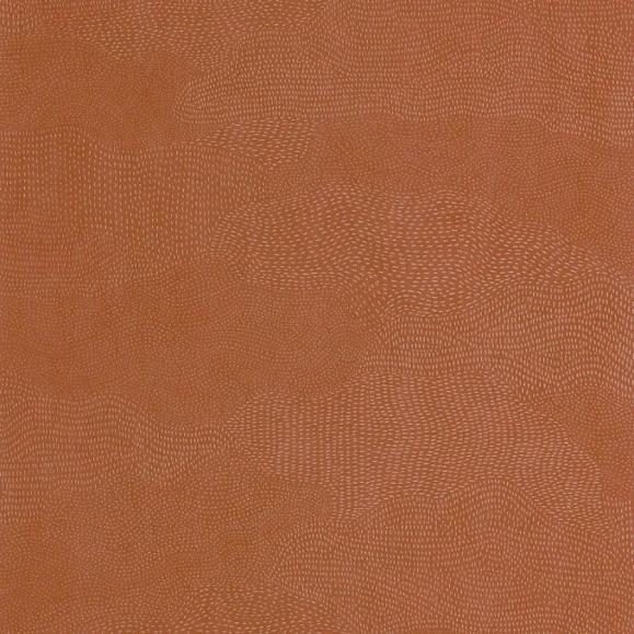 Обои Casadeco 201133535 Terracotta NUBIO