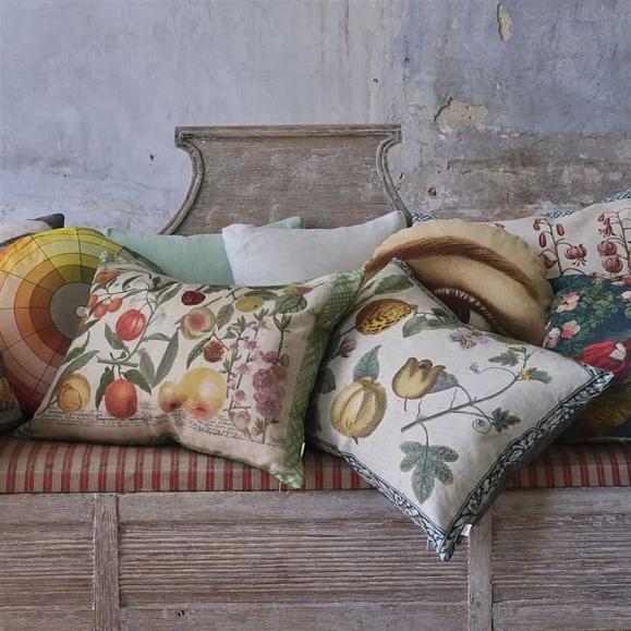 Подушка CCJD5075, Oranges, Canvas, John Derian 60x45см