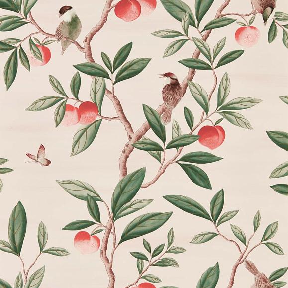 Обои Harlequin 112907 Ella Powder/ Sage / Peach