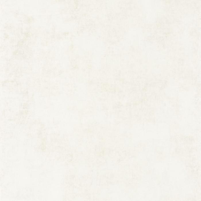80831010