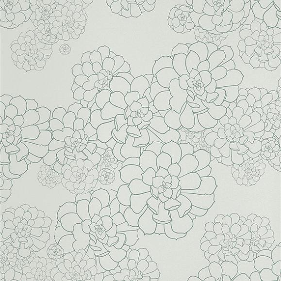 Обои Paint & Paper Library 0393AEBLUEG Aeonium Blue Gum