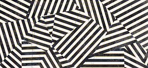 The Room ZEBRA6 260LP 120x260