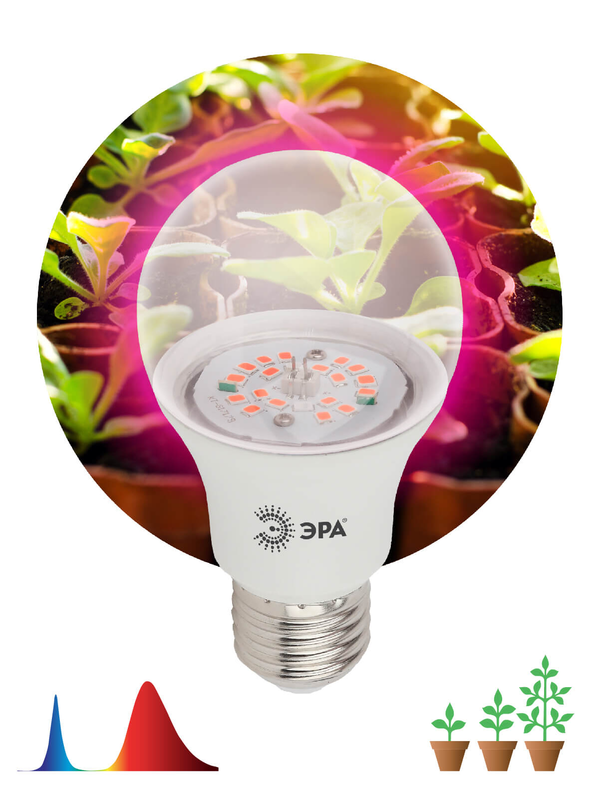 Фитолампа для растений светодиодная ЭРА E27 12W 1310K FITO-12W-RB-E27-K Б0039070