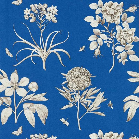 Обои Sanderson 217053 Etchings & Roses French Blue