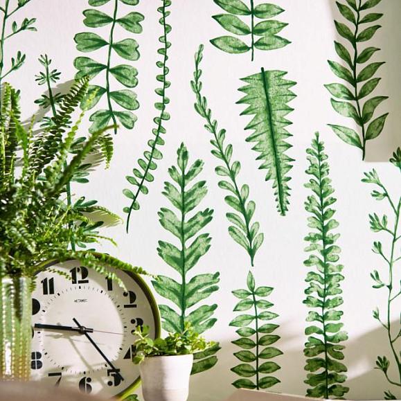 Обои Scion 112798 Ferns Juniper