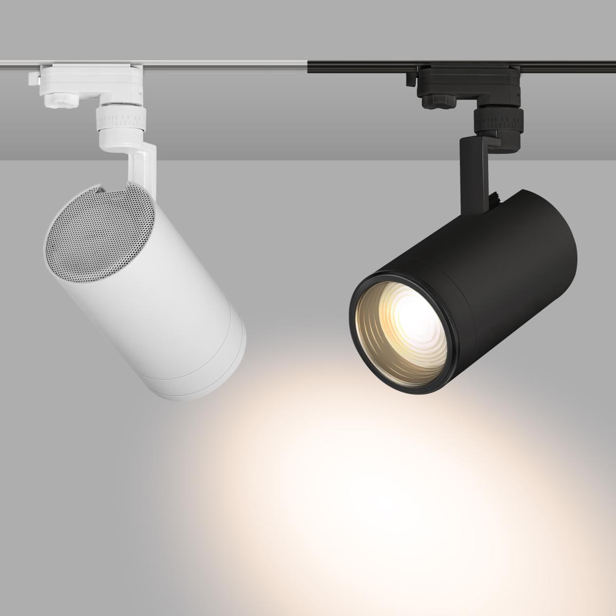 Трековый светильник Arlight LGD-ZEUS-4TR-R100-30W Day 024609