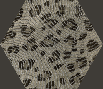 Ins. Leopard