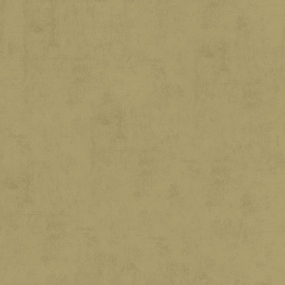 B1181105