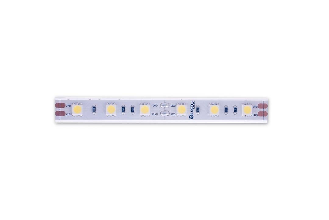 Светодиодная лента DesignLed DSG560-12-W-65 000518