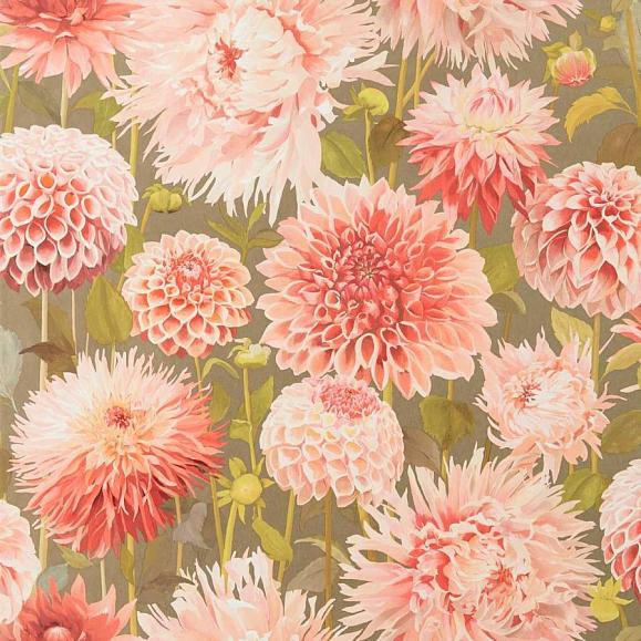 Обои Harlequin 112845 Dahlia Coral/Fig Leaf/Gilver