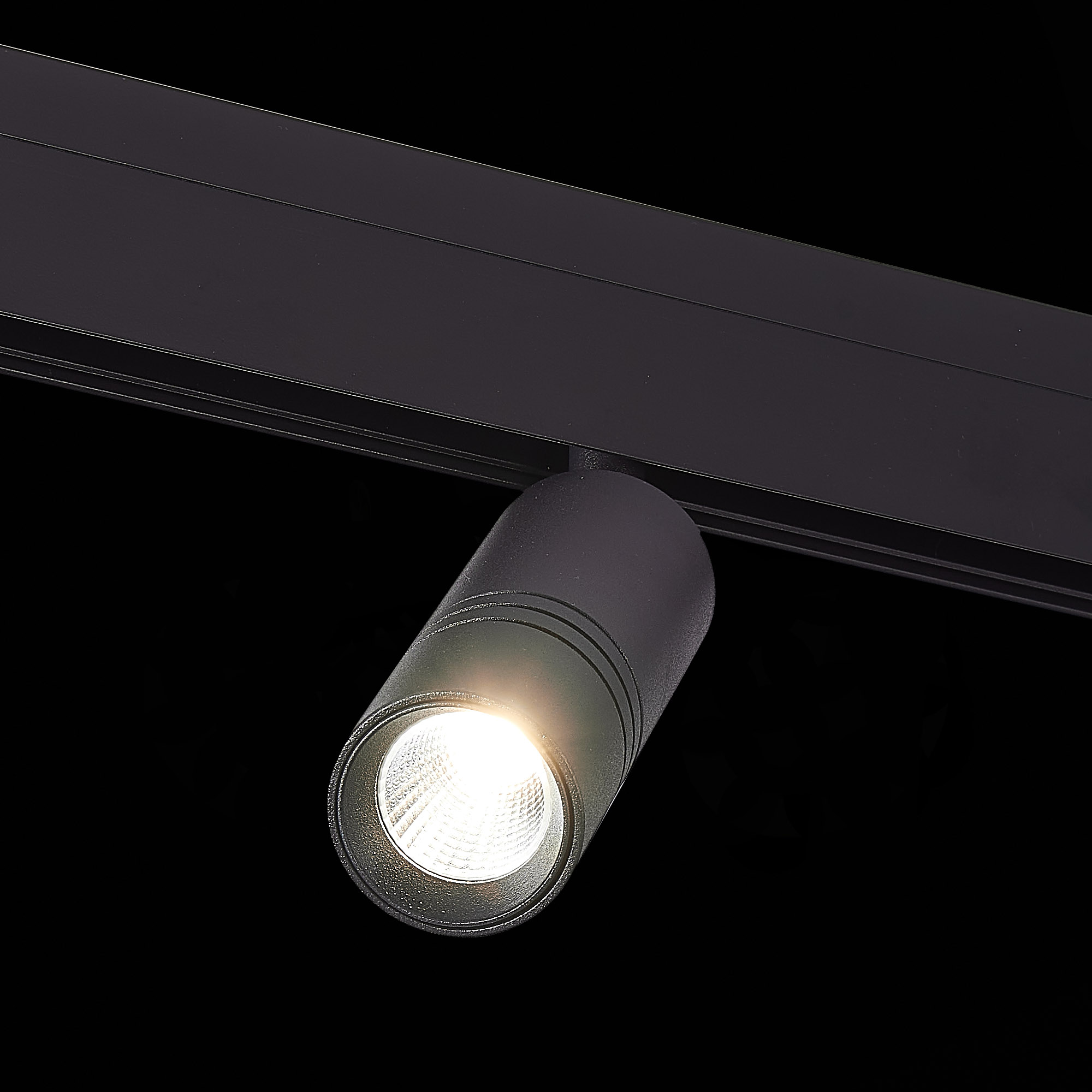 Трековый светильник ST Luce Lemmi ST365.436.12