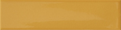 41zero42 KAPPA Mustard