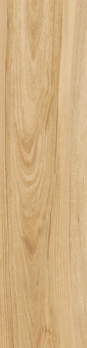 ITALON / ИТАЛОН MAISON Champagne