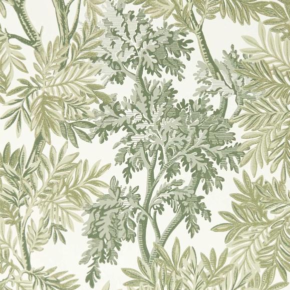 Обои Sanderson DSAB217416 Forest/Willow Tapestry Trees