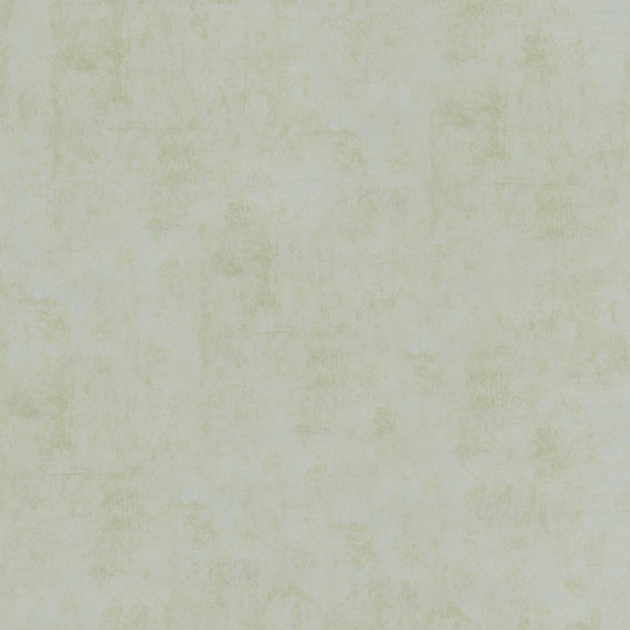 B1181103