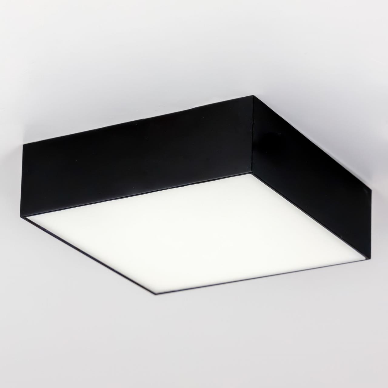 Накладной светильник Citilux Тао CL712X122N