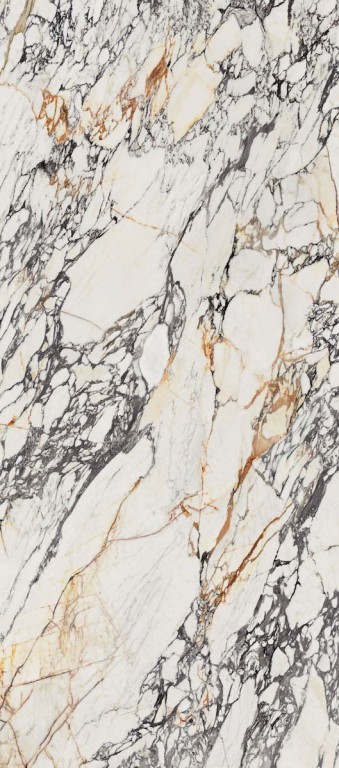 TREASURE CORCHIA GOLD LUX RET 120*280