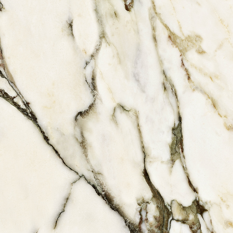 Calacatta Venato Polished CV20249