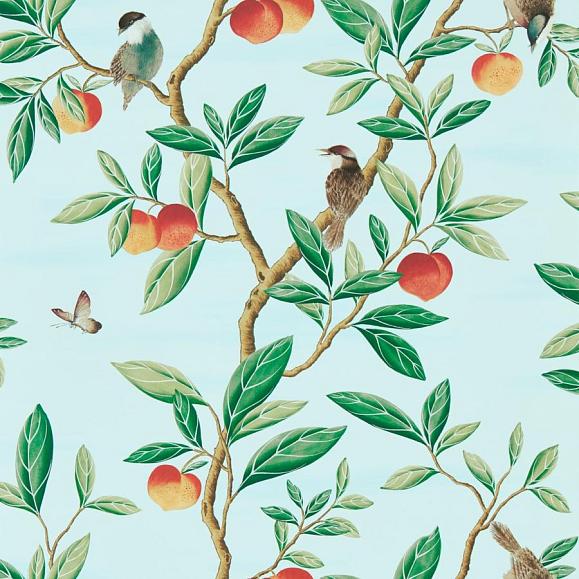 Обои Harlequin 112908 Ella Sky/Fig Leaf/ Nectarine