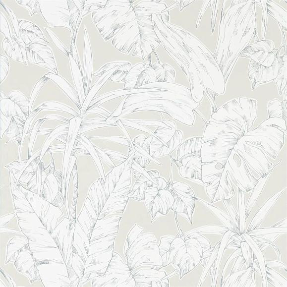 Обои Scion 112026 Parlour Palm Raffia