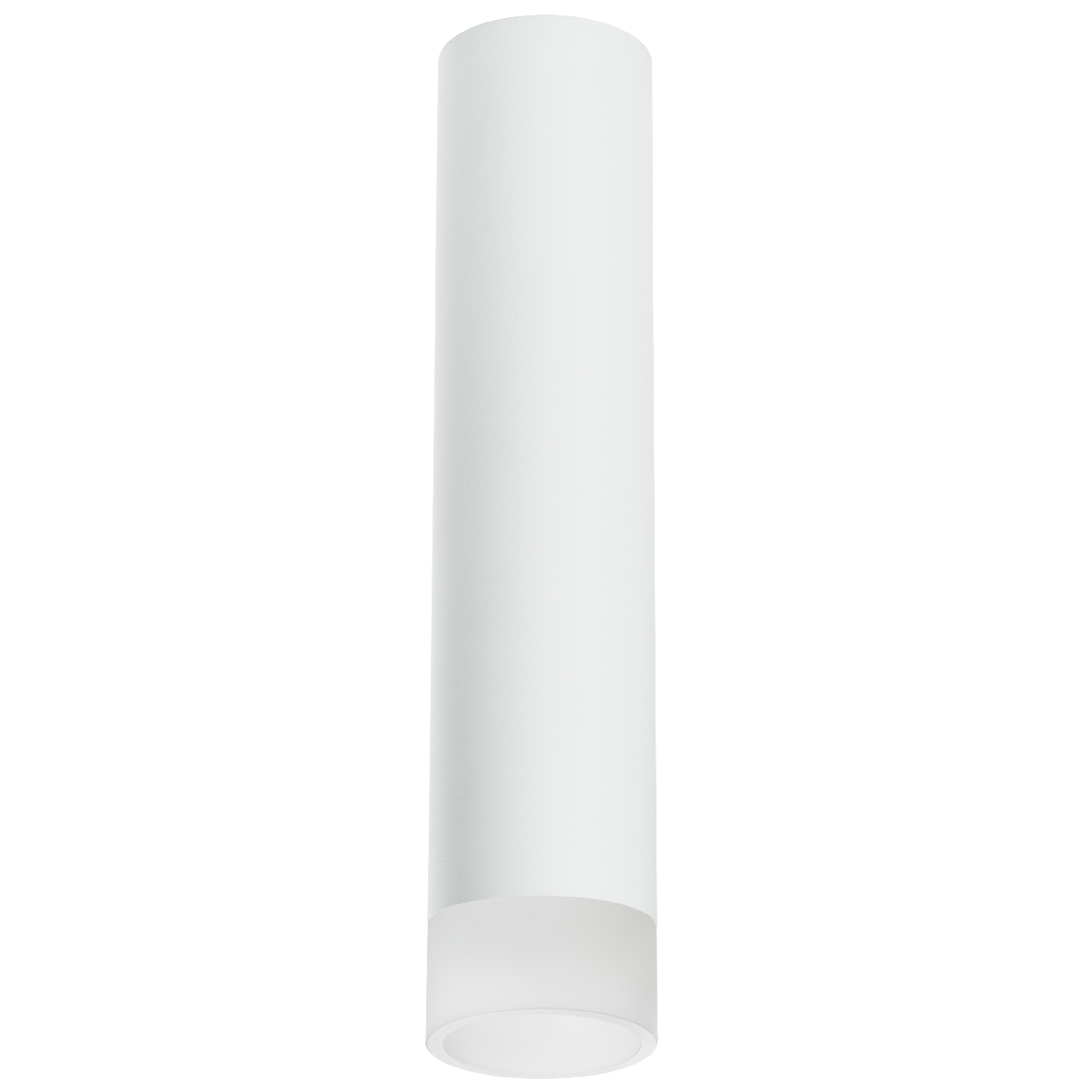 Накладной светильник Lightstar Rullo R49631 (214496+202431)