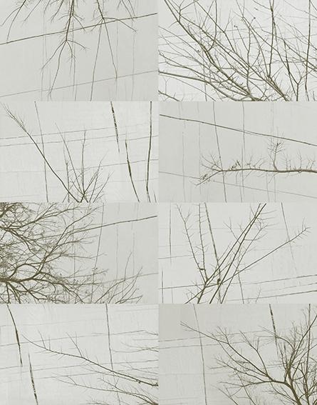 Панно Wall & Deco WDBH1702 Bois D'Hiver