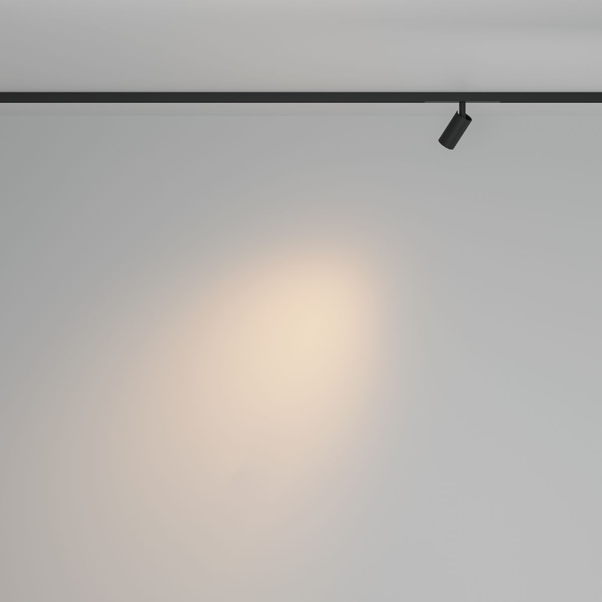 Трековый магнитный светильник Maytoni Focus Led TR176-1-3WTW-M-B