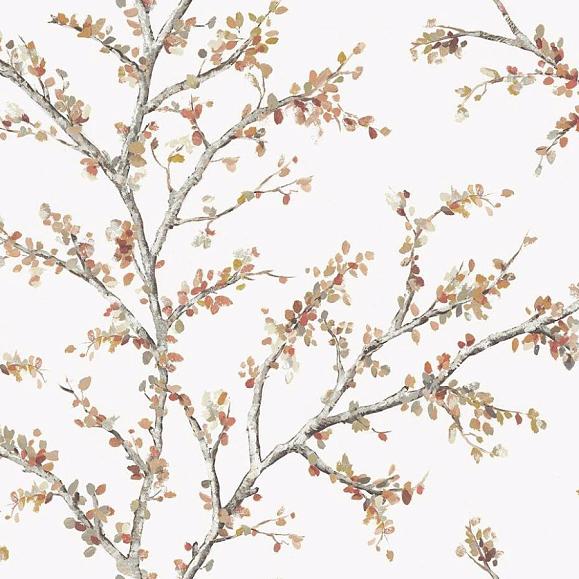 Обои Jaima Brown JB20201 Branching birch tree