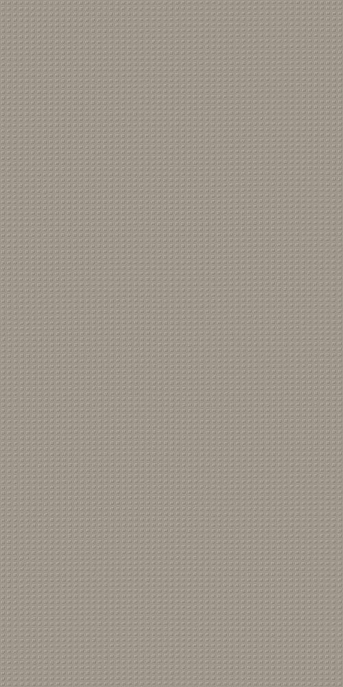 ROOM GREY TEXTURE 40X80
