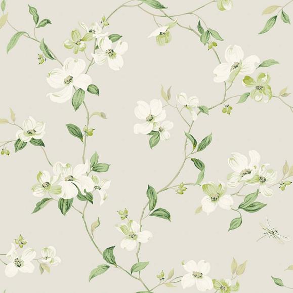 Обои York BL1762 Dogwood Light Grey