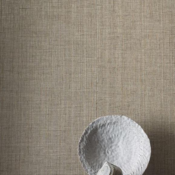 Обои Colefax and Fowler 20387-03 Hatteras Metallic Bark