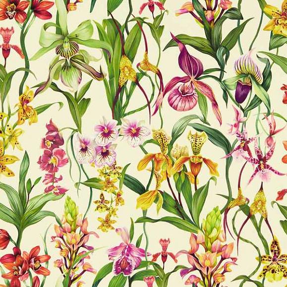 Обои Harlequin 113009 Kalina Parchment/Forest/Azalea