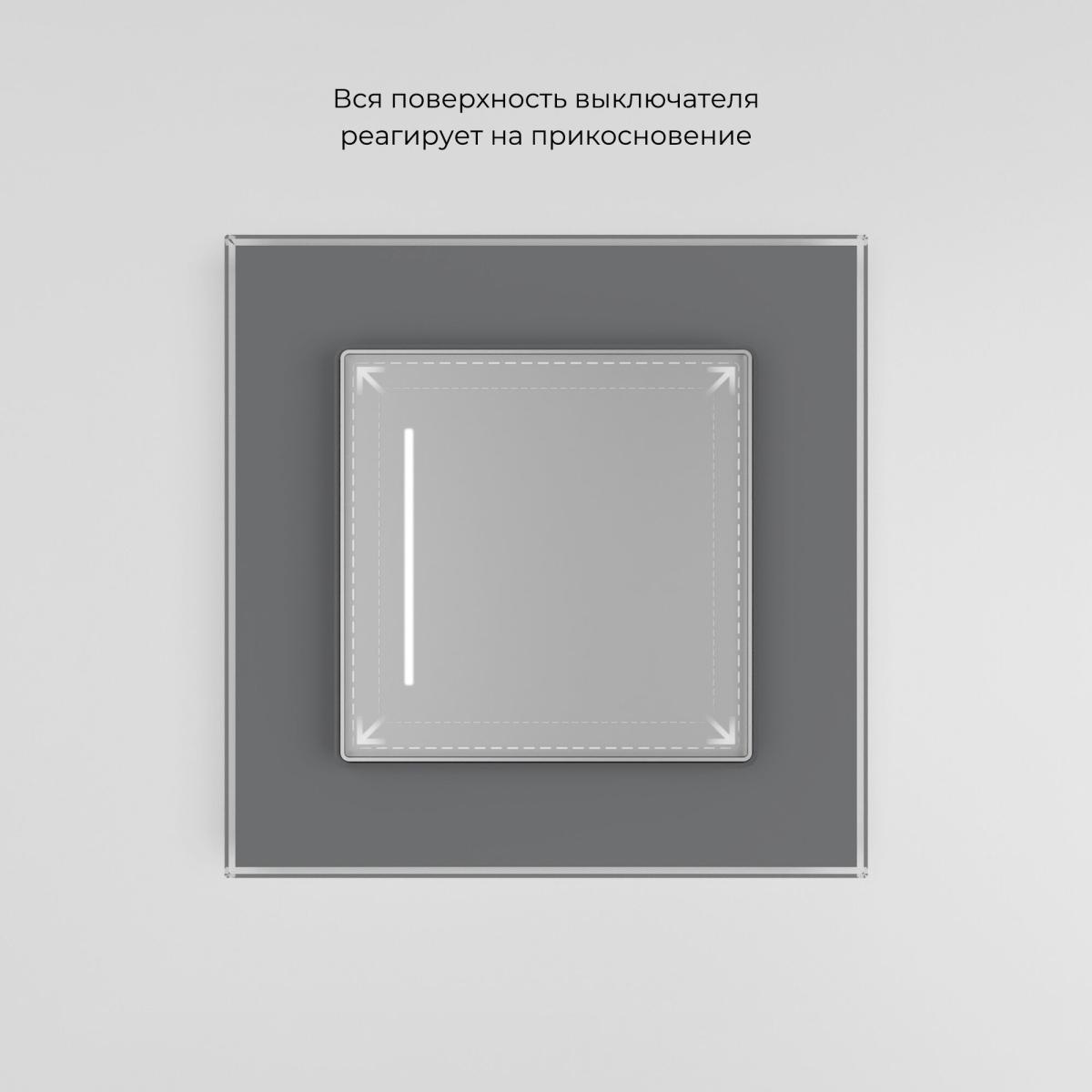 Умный сенсорный выключатель одноклавишный Werkel 4690389197901 W4513006 a064143