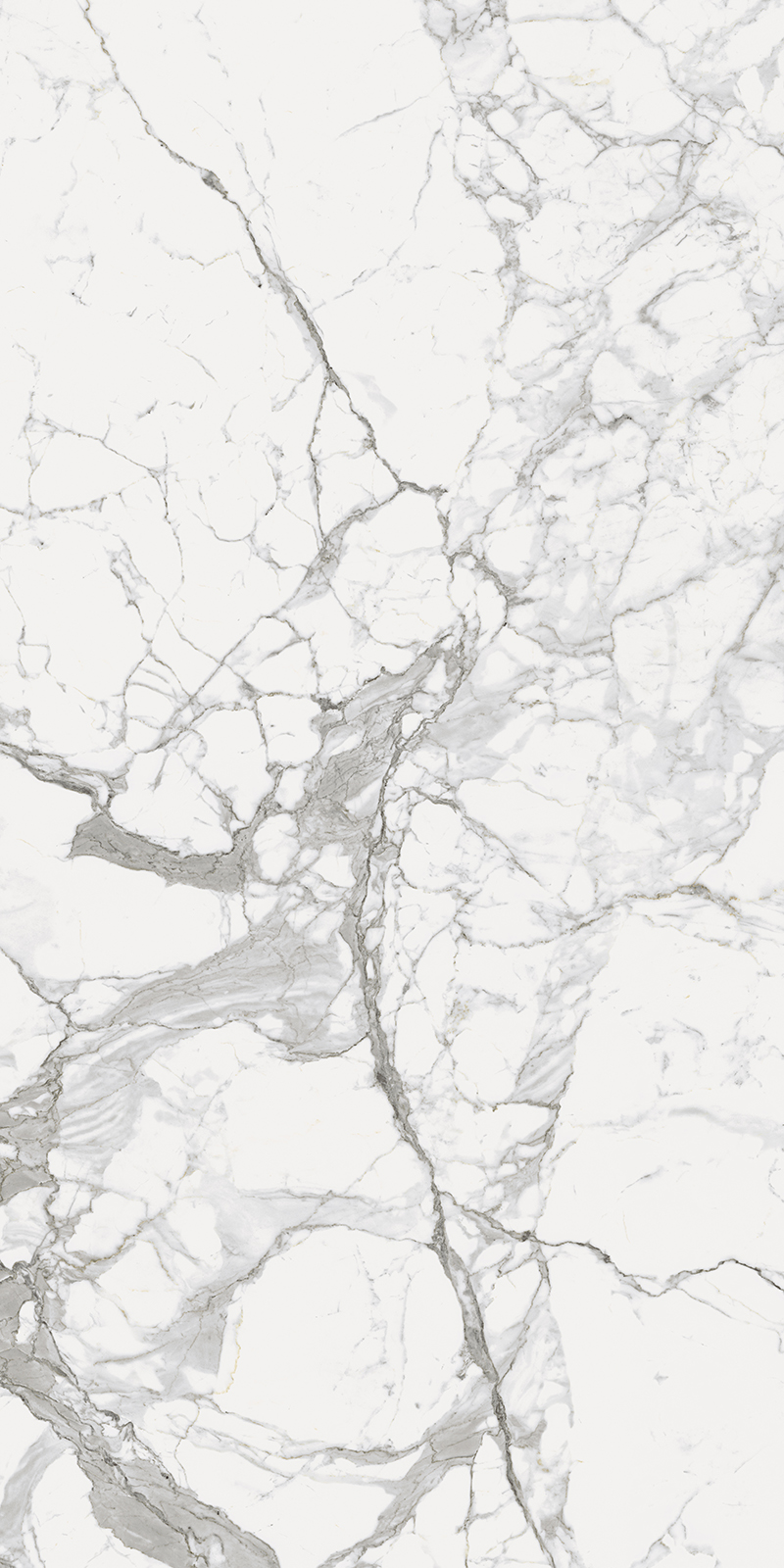 CHA.EVO STATUARIO 80X160 RET