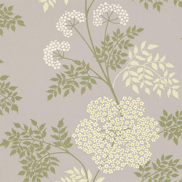 Обои Sanderson DOPWCO103 Cowparsley Amethyst