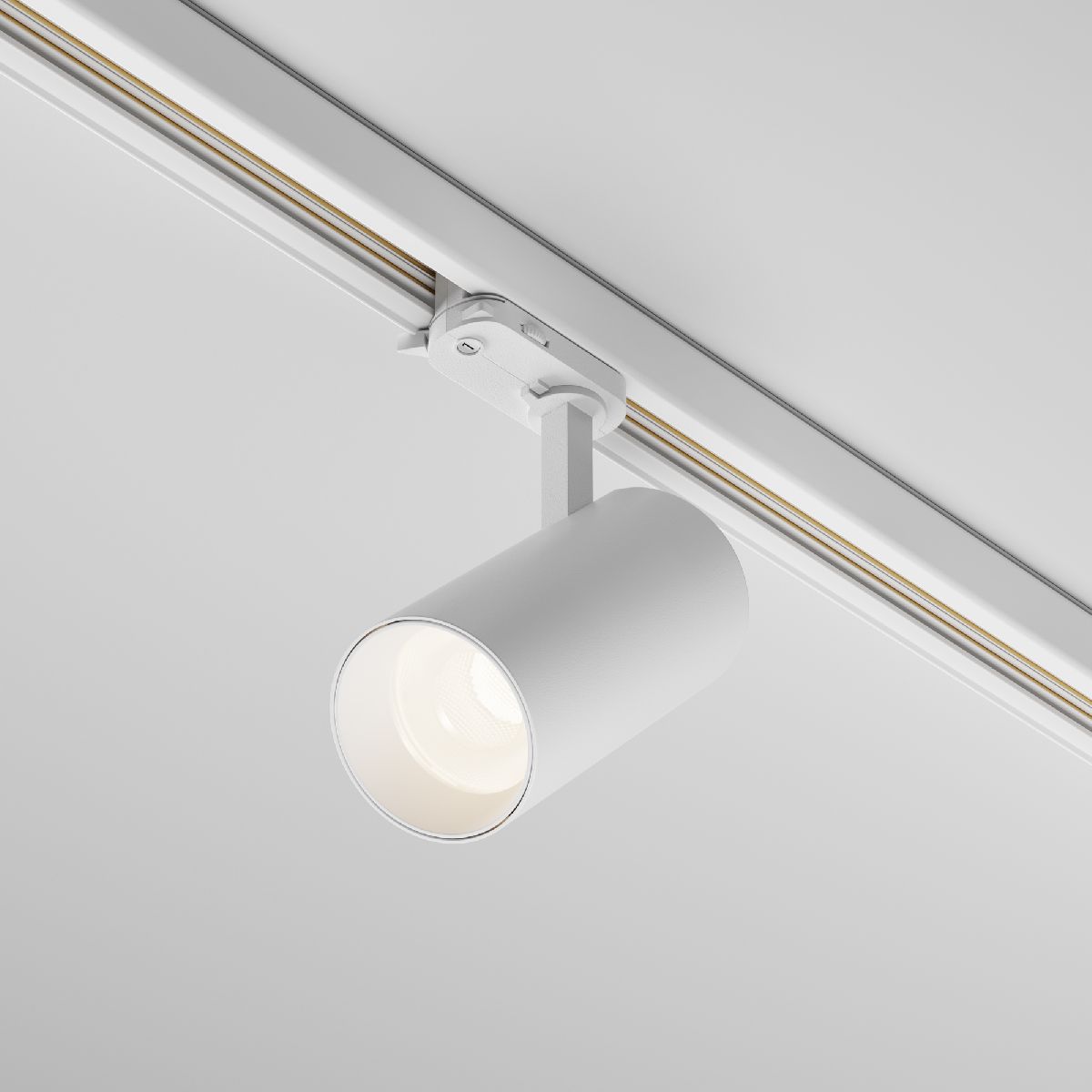 Трековый трехфазный светильник Maytoni Focus Led TR197-3-20WCCT-M-W