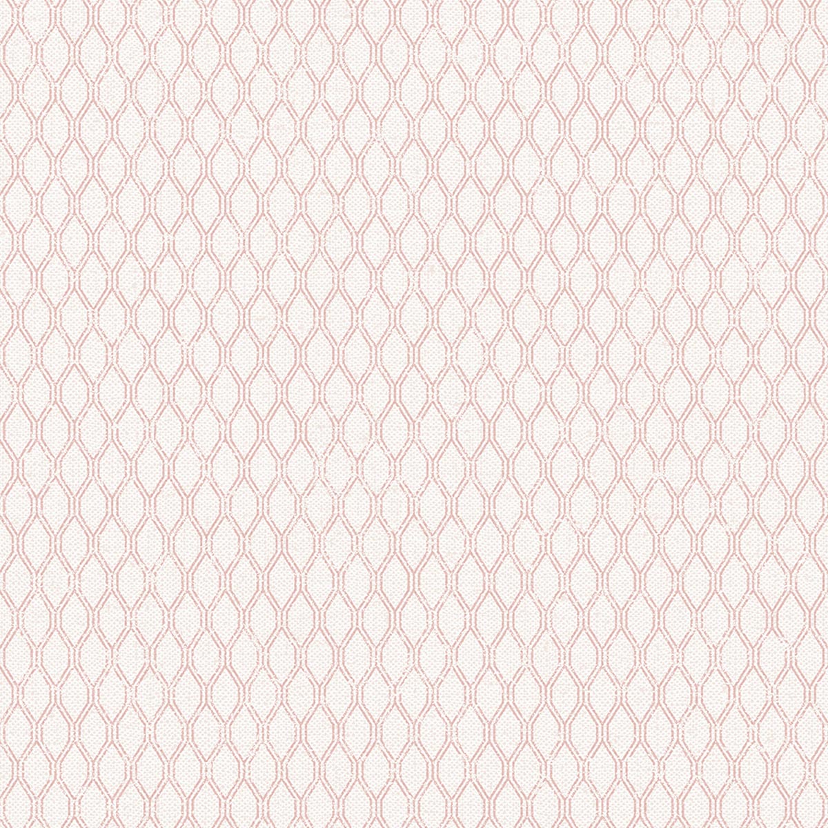 G56657