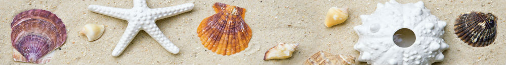 Бордюр Playa Listwa