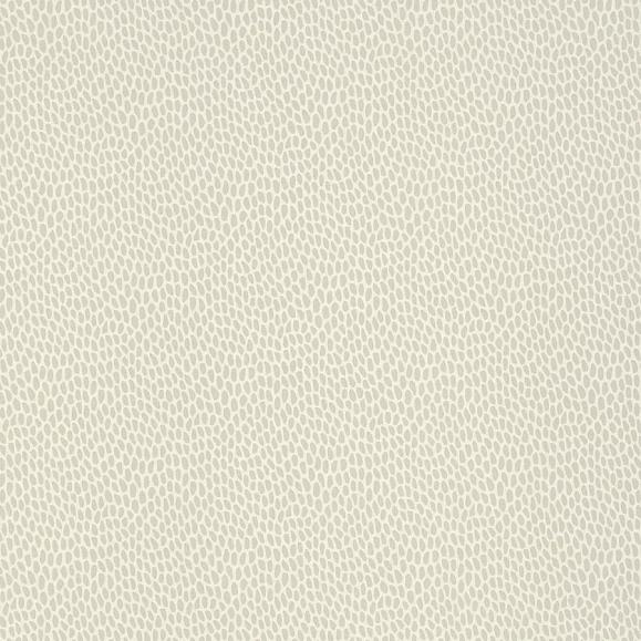 Обои Paint & Paper Library 0360SEWATTL Seedpod Wattle