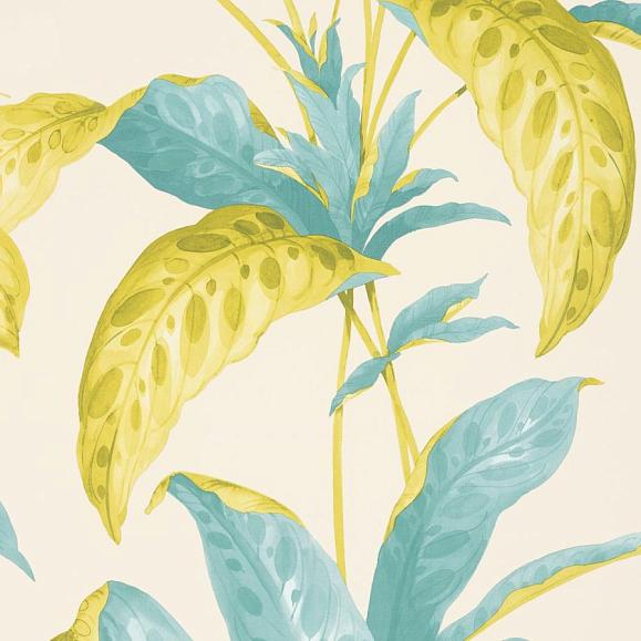 Обои Paint & Paper Library 0360TRSCALL Tropicane Scallion